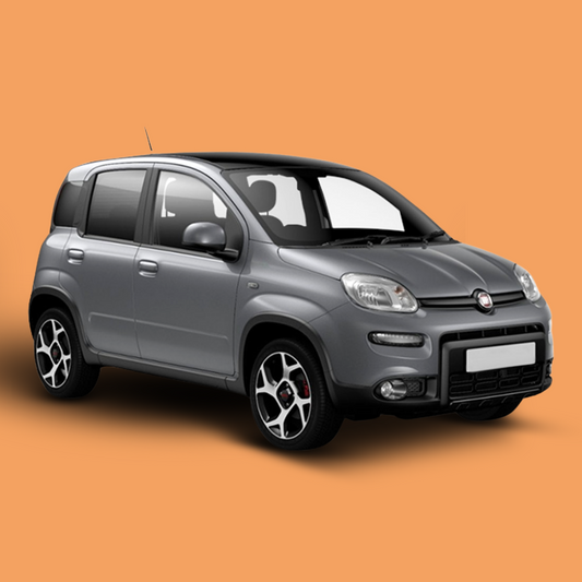Fiat Panda – Grigio (Benzina)